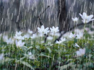 بارش شدید باران در 8 استان