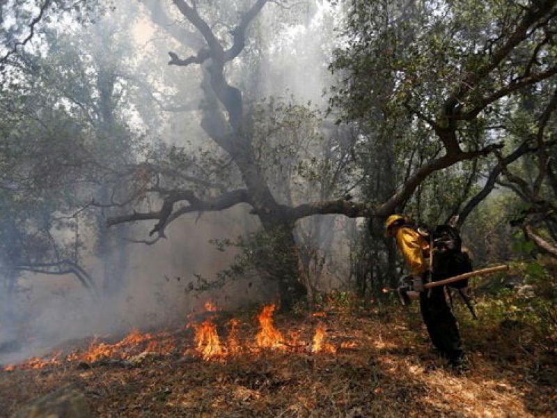 پتانسیل بالای آتش‌سوزی در جنگل‌ها و مراتع کشور طی امسال/ خطر جدید برای محیط زیست