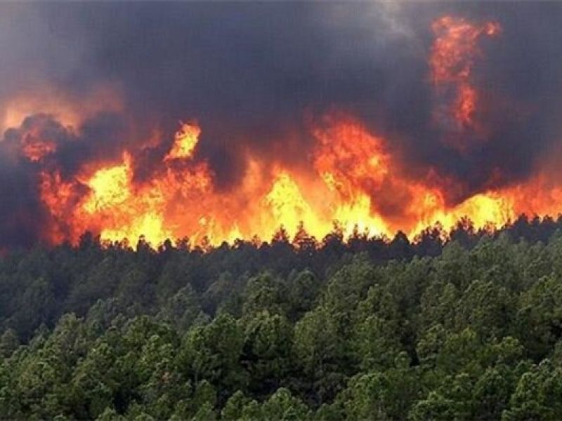 آتش سوزی در جنگل‌های بویراحمد شروع شد