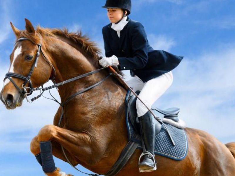 دوپینگ در اسب سواری رایج است