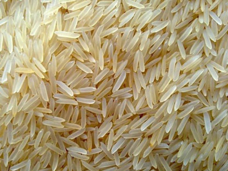 هند، بی‌خیال صادرات برنج شده؟ 