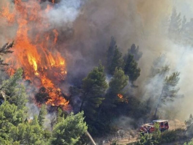 هزار هکتار از جنگل‌های مارسی فرانسه در آتش سوخت